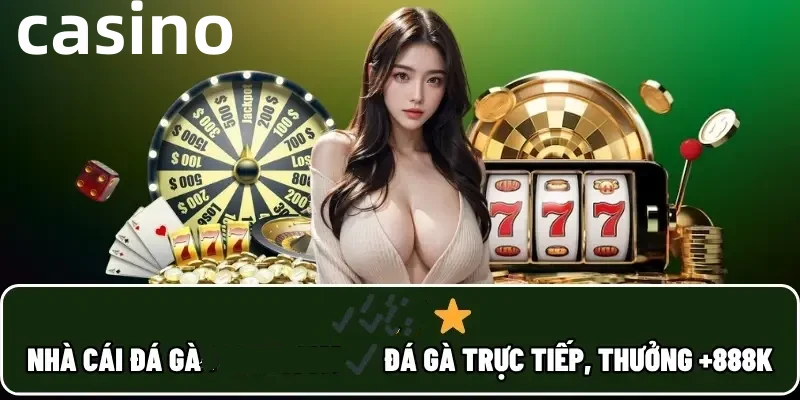 95win